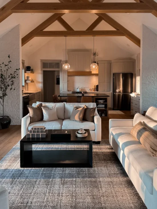 living room and kitchen interior