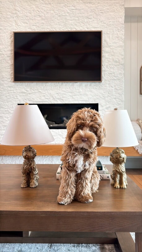 viral doodle lamp from walmart and anthropolgie